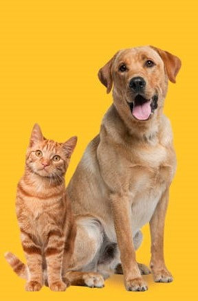 Products for Beloved Pets