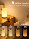 LED Night Light 13 Colour Changing Rechargeable Bedside Table Lamp with Remote Control with Touch Lamp Dimmable