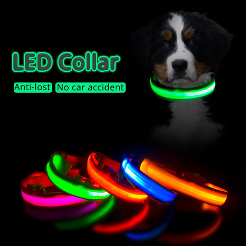 LED-Hundehalsband mit USB-Aufladung, Anti-Verlust und Vermeidung von Autounfällen