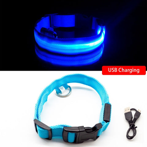 LED-Hundehalsband mit USB-Aufladung, Anti-Verlust und Vermeidung von Autounfällen