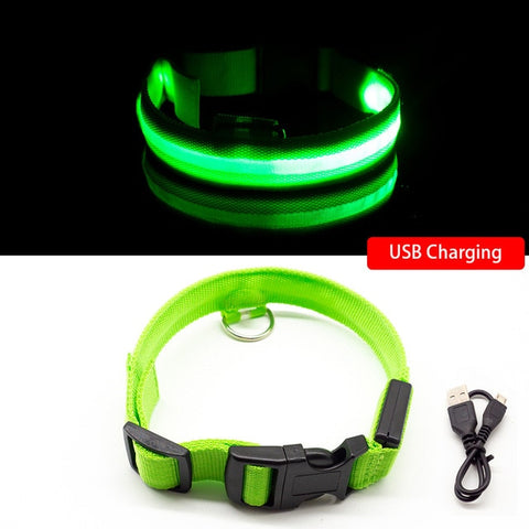 LED-Hundehalsband mit USB-Aufladung, Anti-Verlust und Vermeidung von Autounfällen