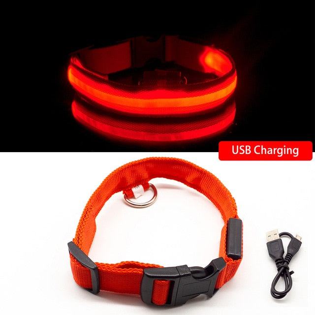 LED-Hundehalsband mit USB-Aufladung, Anti-Verlust und Vermeidung von Autounfällen