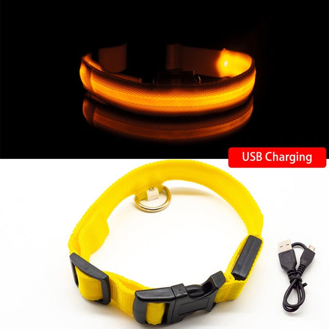 LED-Hundehalsband mit USB-Aufladung, Anti-Verlust und Vermeidung von Autounfällen